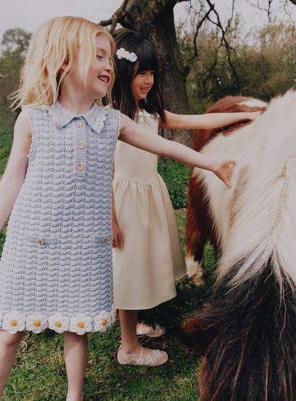 Blue Daisy Trim Pointelle Knitted Dress